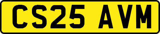 CS25AVM