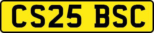 CS25BSC