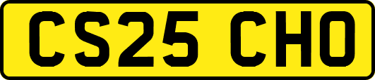 CS25CHO