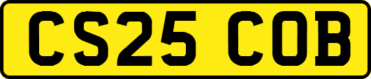 CS25COB