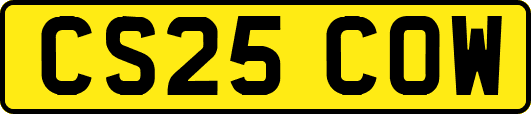 CS25COW