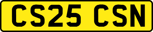 CS25CSN