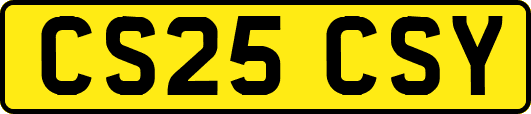CS25CSY