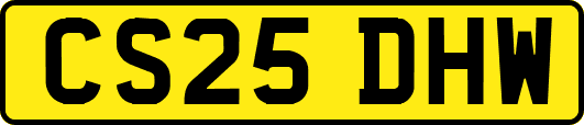 CS25DHW