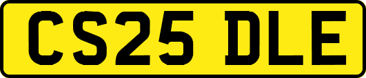CS25DLE