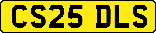 CS25DLS