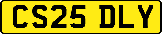 CS25DLY