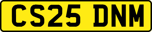 CS25DNM