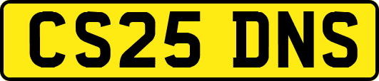 CS25DNS