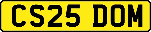 CS25DOM