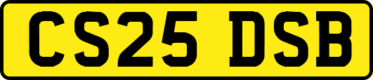 CS25DSB