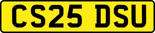 CS25DSU