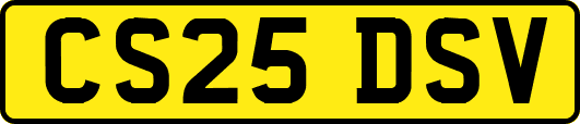CS25DSV
