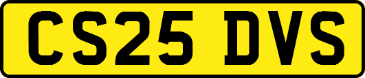 CS25DVS