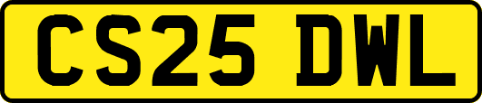 CS25DWL