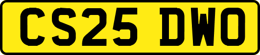 CS25DWO