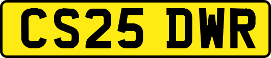 CS25DWR