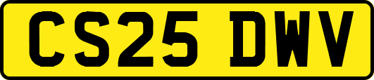 CS25DWV