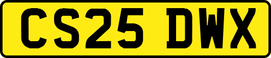 CS25DWX