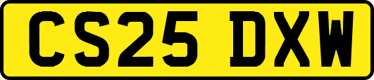 CS25DXW