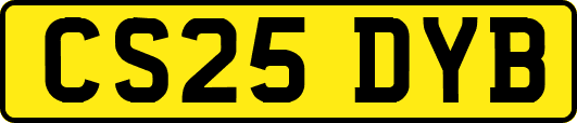 CS25DYB