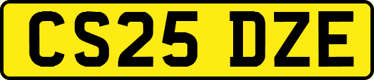 CS25DZE