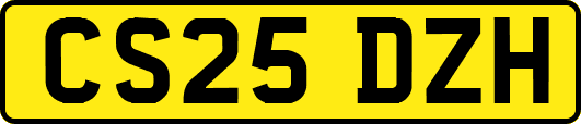 CS25DZH