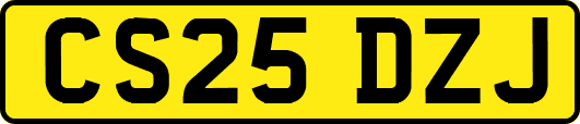 CS25DZJ