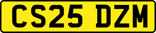 CS25DZM