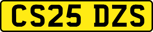 CS25DZS