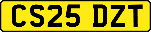 CS25DZT