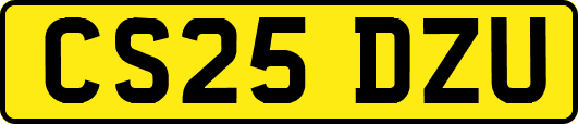 CS25DZU