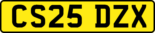 CS25DZX