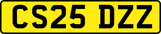 CS25DZZ