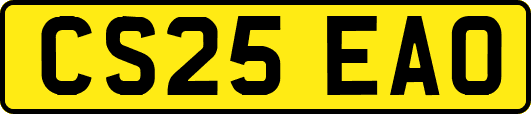 CS25EAO