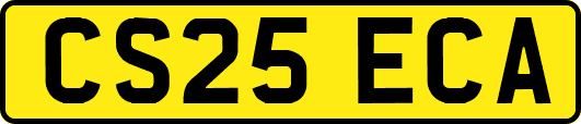 CS25ECA