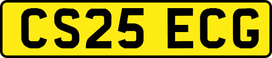 CS25ECG