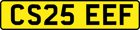 CS25EEF