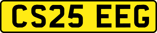 CS25EEG