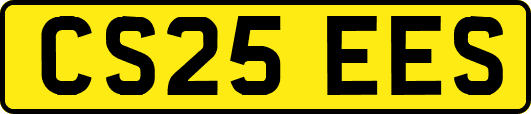 CS25EES
