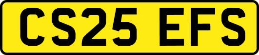 CS25EFS