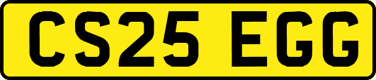 CS25EGG