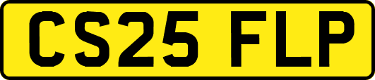 CS25FLP