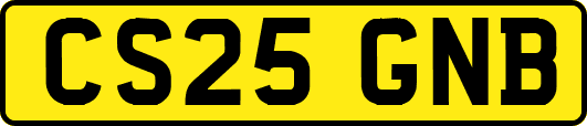 CS25GNB
