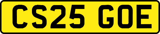 CS25GOE