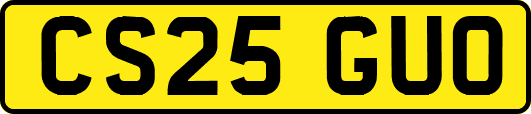 CS25GUO