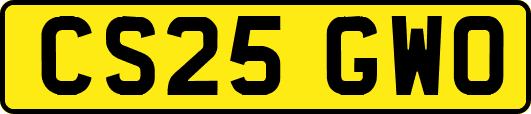 CS25GWO