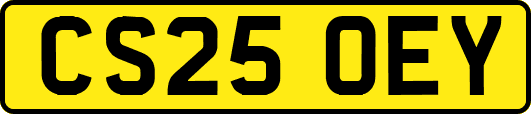 CS25OEY