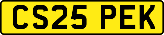 CS25PEK