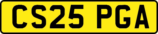 CS25PGA